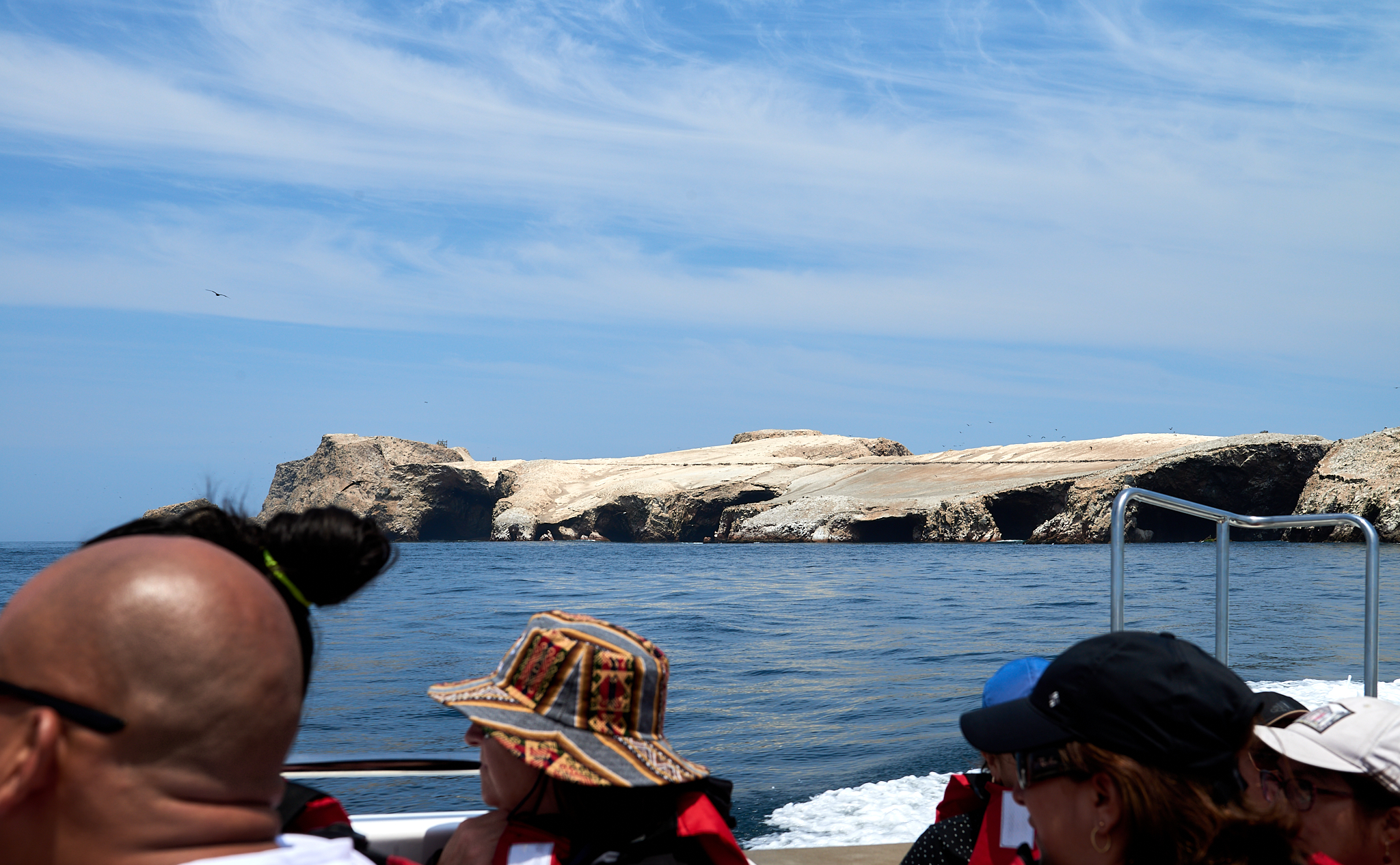 20200304 220 [페루] 바예스타섬